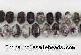 CNG8904 10*25mm - 14*30mm faceted nuggets tourmaline beads