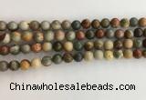 CNI370 15.5 inches 6mm round American picture jasper beads