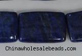 CNL537 15.5 inches 20*30mm rectangle natural lapis lazuli gemstone beads