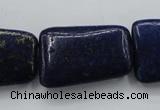 CNL675 15.5 inches 20*30mm trapezoid natural lapis lazuli beads