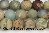 CNS341 15.5 inches 6mm faceted round serpentine jasper beads