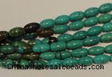 CNT117 15.5 inches 4*8mm rice natural turquoise beads wholesale