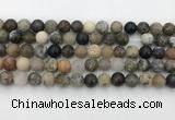 COP1602 15.5 inches 8mm round moss opal beads wholesale
