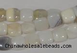 COP909 15.5 inches 10*10mm square natural white opal gemstone beads