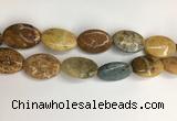 COS263 15.5 inches 22*30mm oval ocean stone beads wholesale