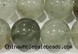 CPC682 15.5 inches 10mm round chorite green phantom beads