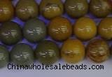 CPJ453 15.5 inches 10mm round wildhorse picture jasper beads