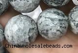 CPJ646 15.5 inches 16mm faceted round grey picture jasper beads