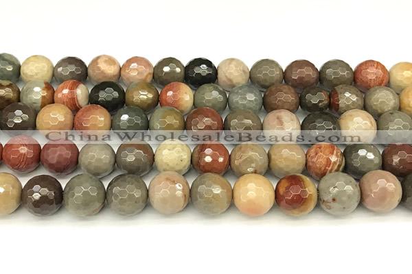 CPJ698 15 inches 12mm faceted round American picture jasper beads