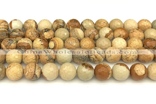 CPJ723 15 inches 12mm faceted round picture jasper beads
