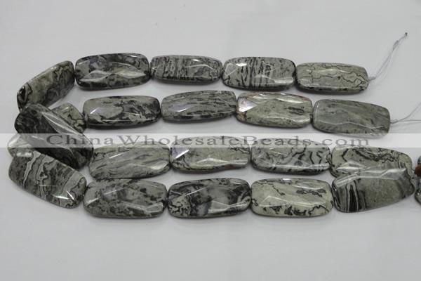 CPT132 15.5 inches 20*40mm faceted rectangle grey picture jasper beads