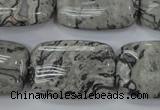 CPT182 15.5 inches 20*30mm rectangle grey picture jasper beads