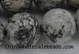 CPT191 15.5 inches 16mm round grey picture jasper beads wholesale