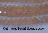CRB1866 15.5 inches 2*3mm faceted rondelle moonstone beads