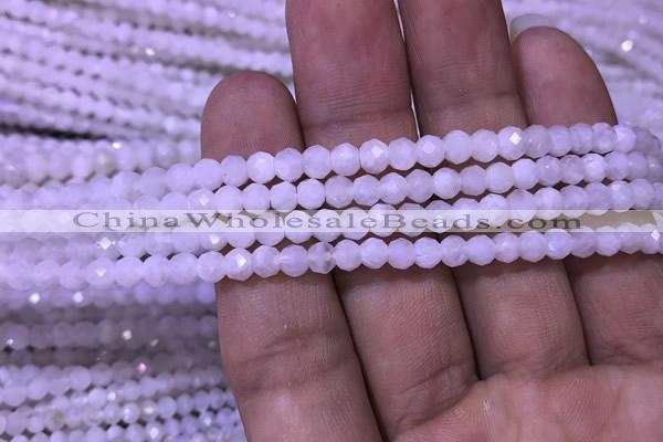 CRB1965 15.5 inches 3*4mm faceted rondelle white moonstone beads