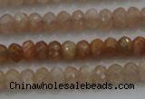 CRB224 15.5 inches 2.5*4mm faceted rondelle moonstone beads