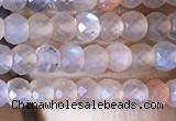 CRB2620 15.5 inches 2*3mm faceted rondelle moonstone beads