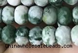 CRB5108 15.5 inches 4*6mm faceted rondelle green spot stone beads