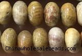 CRB5321 15.5 inches 4*6mm rondelle fossil coral beads wholesale