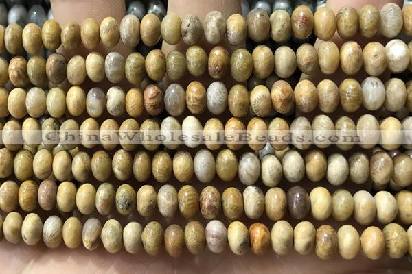 CRB5321 15.5 inches 4*6mm rondelle fossil coral beads wholesale