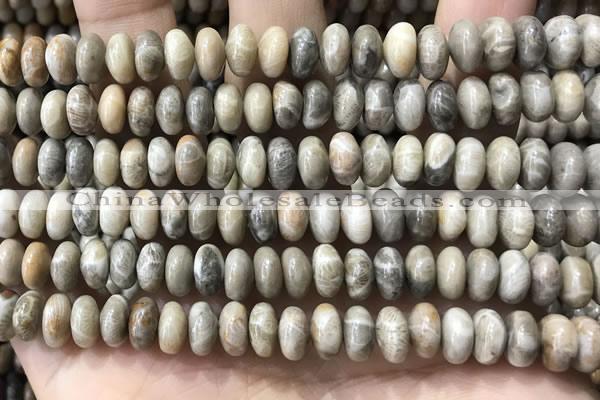 CRB5336 15.5 inches 5*8mm rondelle fossil coral beads wholesale