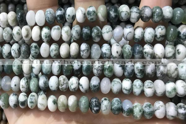 CRB5338 15.5 inches 5*8mm rondelle tree agate beads wholesale