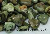 CRH31 15.5 inches 12*12mm triangle rhyolite beads wholesale