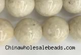 CRJ623 15.5 inches 10mm round white fossil jasper beads wholesale