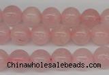 CRO240 15.5 inches 10mm round rose quartz beads wholesale