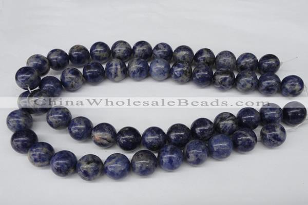 CRO422 15.5 inches 16mm round sodalite gemstone beads wholesale