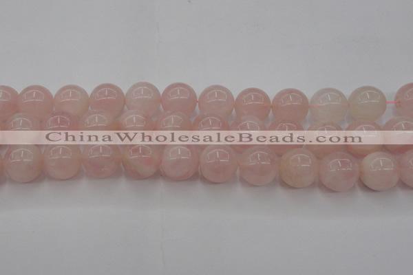 CRQ674 15.5 inches 14mm round rose quartz beads wholesale