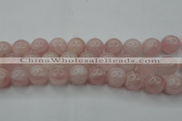 CRQ676 15.5 inches 16mm round rose quartz beads wholesale