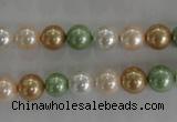 CSB1039 15.5 inches 8mm round mixed color shell pearl beads