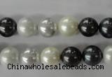 CSB1051 15.5 inches 10mm round mixed color shell pearl beads