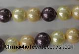 CSB1072 15.5 inches 10mm round mixed color shell pearl beads
