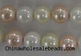 CSB1092 15.5 inches 12mm round mixed color shell pearl beads