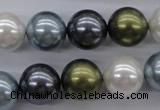 CSB1124 15.5 inches 14mm round mixed color shell pearl beads