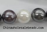 CSB1150 15.5 inches 16mm round mixed color shell pearl beads