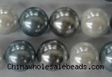 CSB1151 15.5 inches 16mm round mixed color shell pearl beads