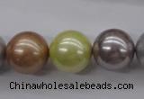 CSB1155 15.5 inches 16mm round mixed color shell pearl beads