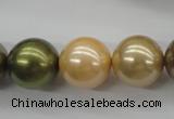 CSB1156 15.5 inches 16mm round mixed color shell pearl beads