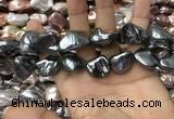 CSB2182 15.5 inches 16*16mm - 20*22mm baroque mixed shell pearl beads