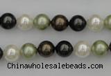 CSB314 15.5 inches 8mm round mixed color shell pearl beads