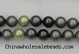 CSB316 15.5 inches 8mm round mixed color shell pearl beads