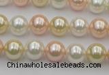 CSB320 15.5 inches 10mm round mixed color shell pearl beads