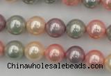 CSB324 15.5 inches 10mm round mixed color shell pearl beads