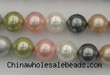 CSB331 15.5 inches 10mm round mixed color shell pearl beads