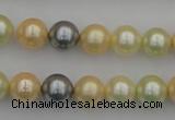 CSB333 15.5 inches 10mm round mixed color shell pearl beads