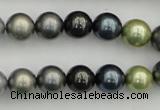 CSB340 15.5 inches 10mm round mixed color shell pearl beads