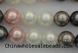 CSB358 15.5 inches 12mm round mixed color shell pearl beads